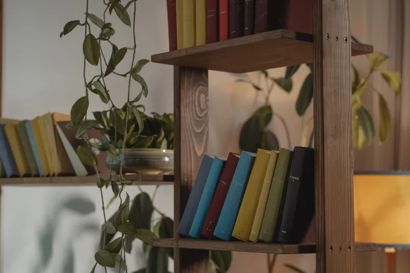 Forget the Dewey Decimal: Why Readers Are Shelving Books by Vibe Instead of Genre