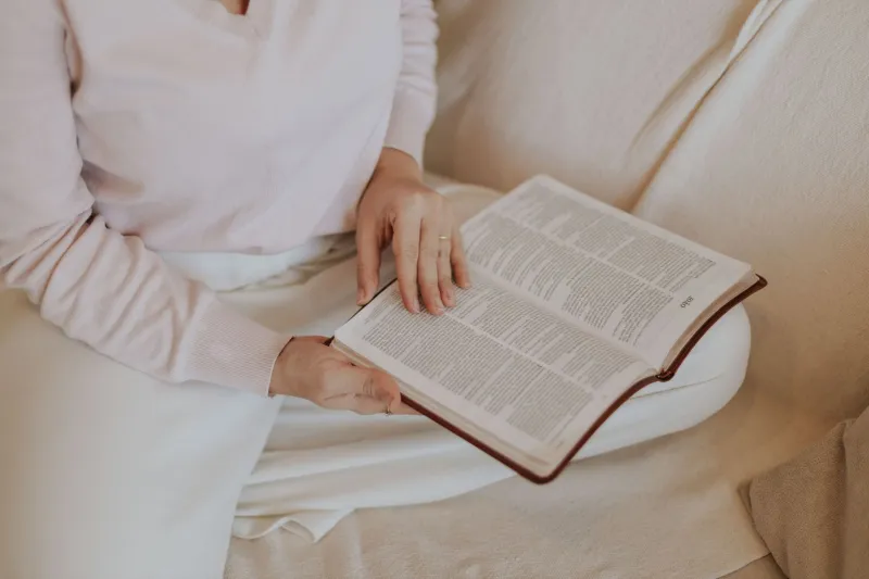 Reading the Same Book Again (and Again) Is Not Laziness — It's a Quiet Act of Defiance